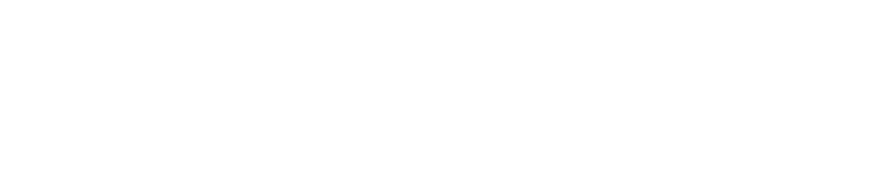 Cyber Security Council