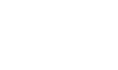 Cyber Security Council