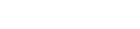 Cyber Security Council