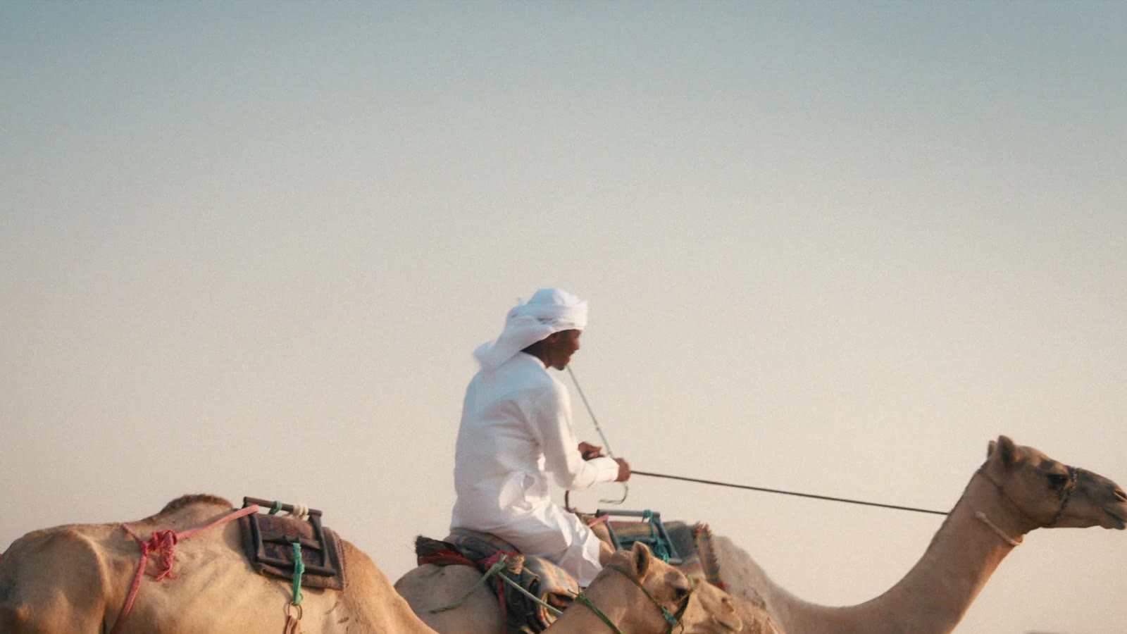 Gheras Qeyam — Eid Al Etihad 53 — frame 3