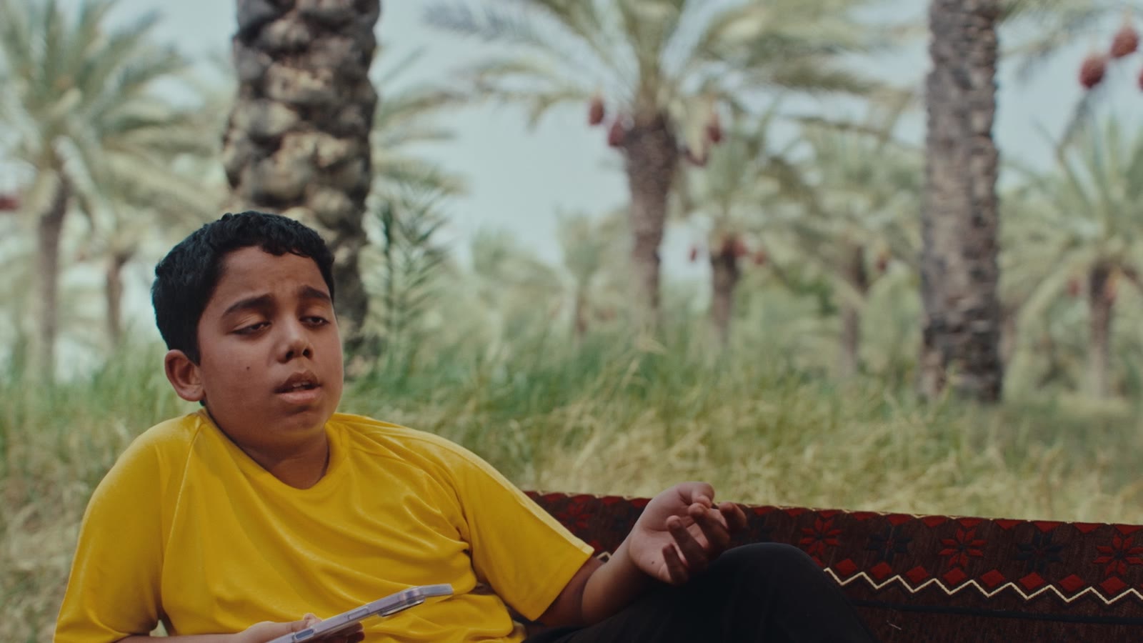 مهرجان ليوا عجمان للرطب والعسل — لقطة 5