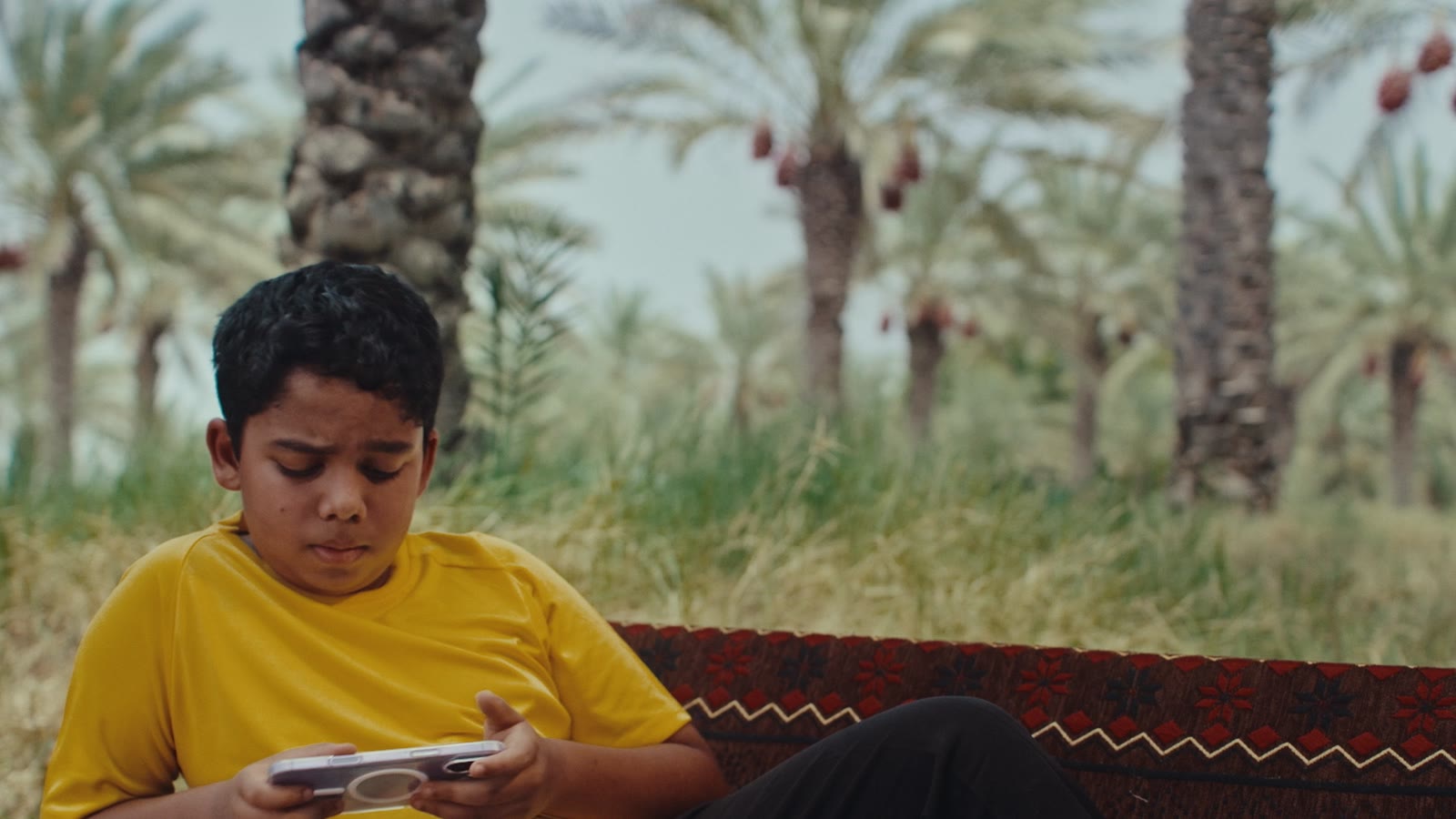 مهرجان ليوا عجمان للرطب والعسل — دائرة التنمية السياحية بعجمان